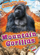 Mountain_Gorillas